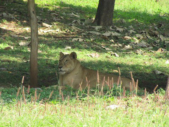 Visakhapatnam Zoo