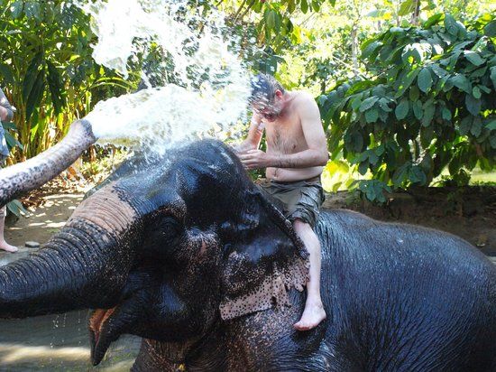 Elephant Junction