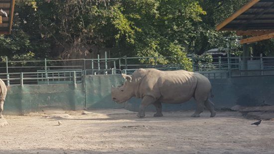 Almaty Zoo