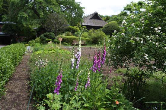 Chichibunomiya Memorial Park