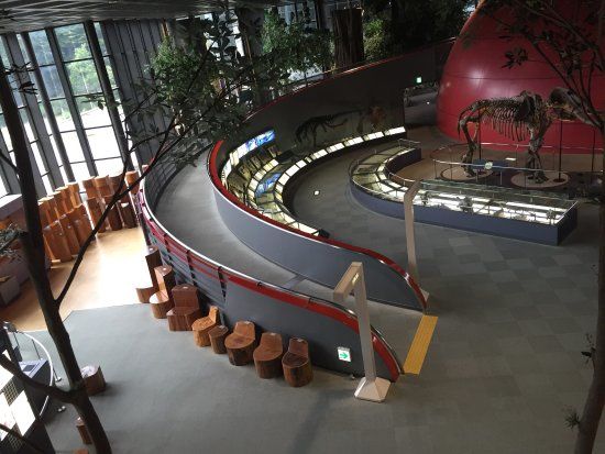 Hyogo Prefectural Operated Human and Nature Museum