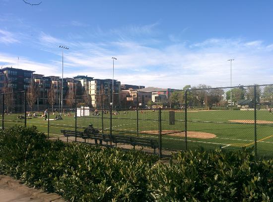 Cal Anderson Park