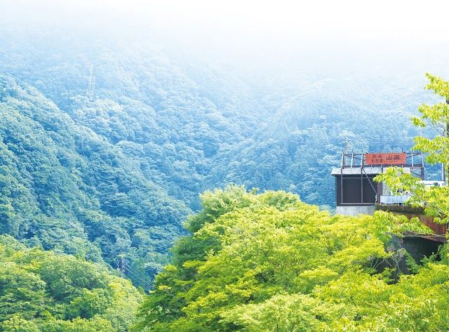 Yamagusuri