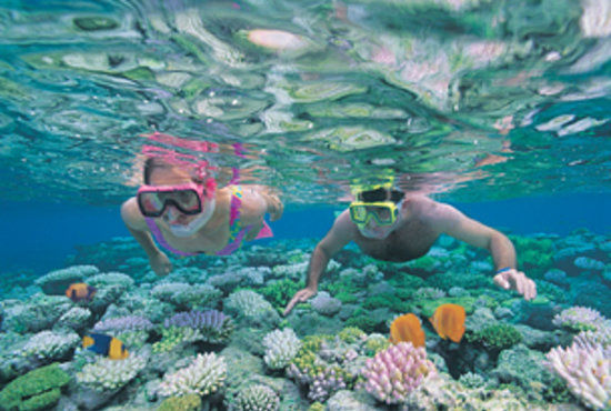 Agincourt Reef