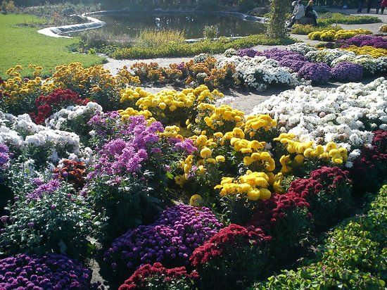 Grishko Central Botanical Garden