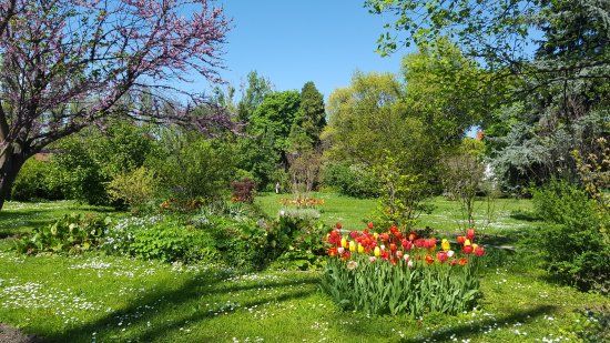 Bucharest Botanical Garden