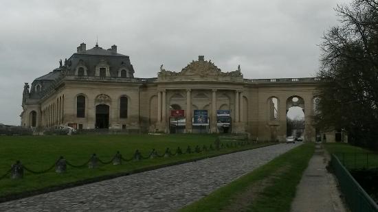The Living Museum of the Horse