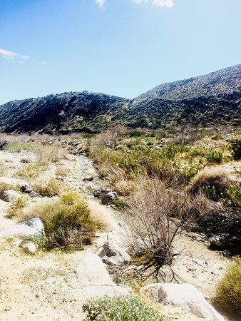 Mission Creek Preserve