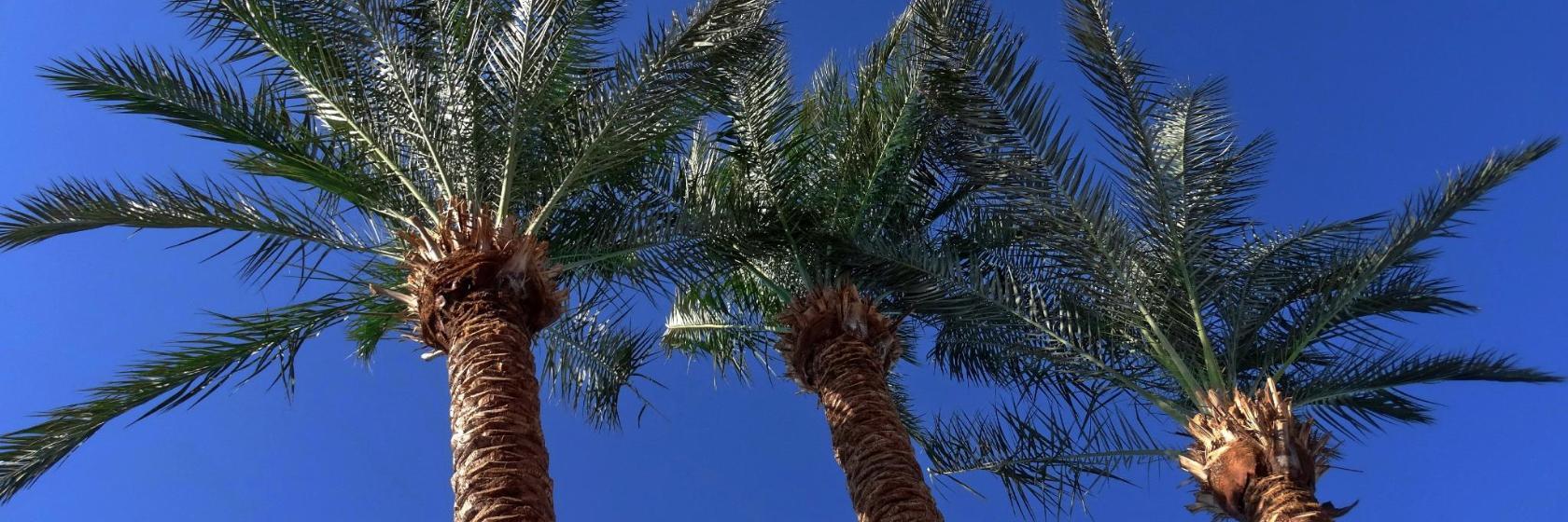Discoteca Mega Park