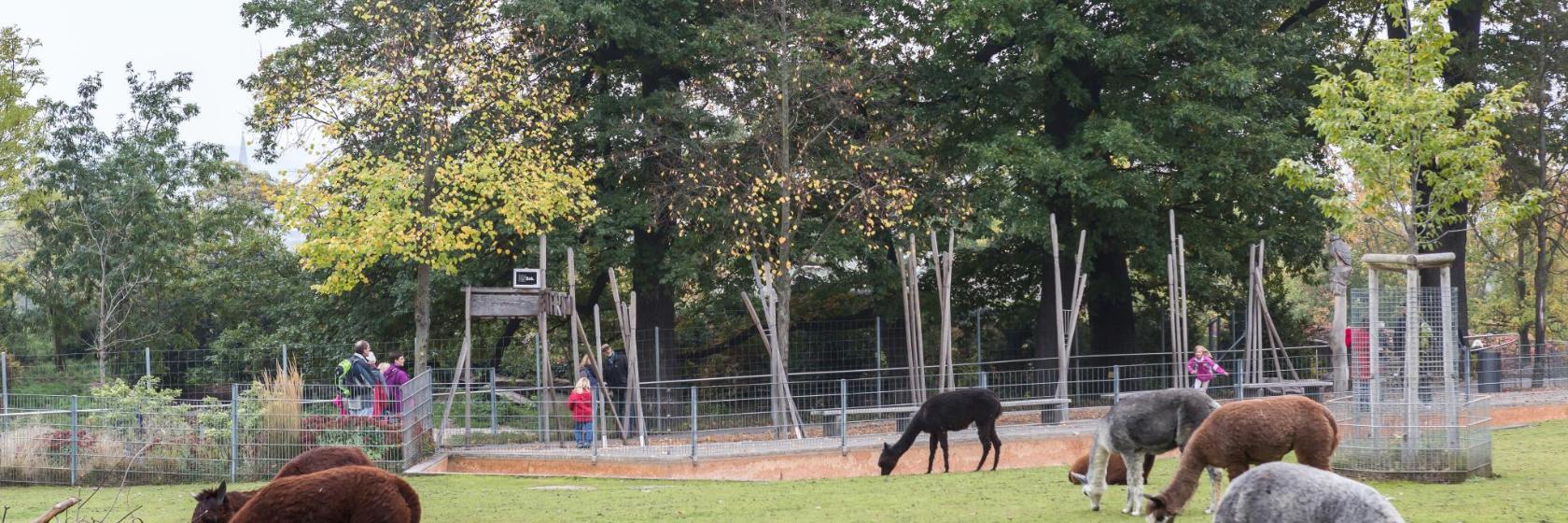 Zoo Wilhelma