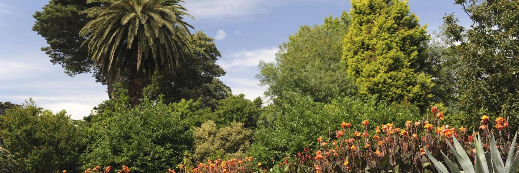 Royal Botanic Gardens Victoria