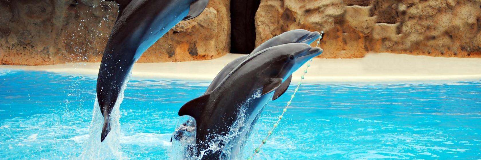 Ocean World