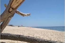 Comporta's Beach