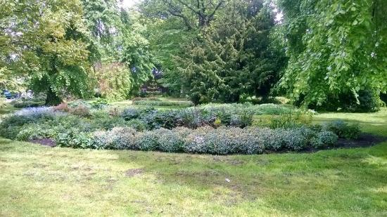 Derby Arboretum