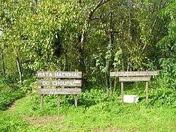 Choupal National Forest