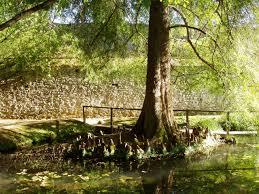 Lucca Botanical Gardens