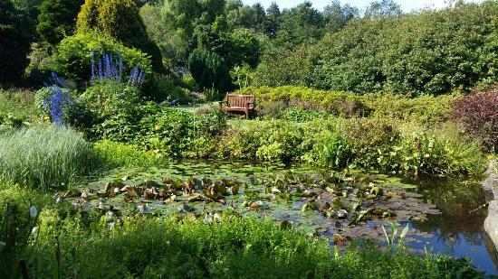 St Andrews Botanic Garden