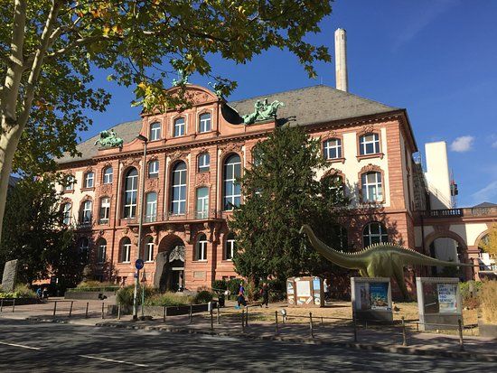 Muséum Senckenberg