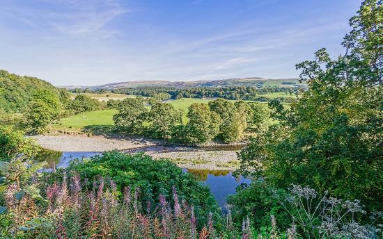Ruskin's View