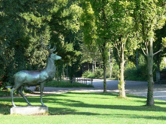 Parc Platzspitz