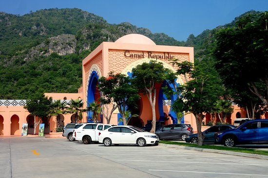 Camel Republic