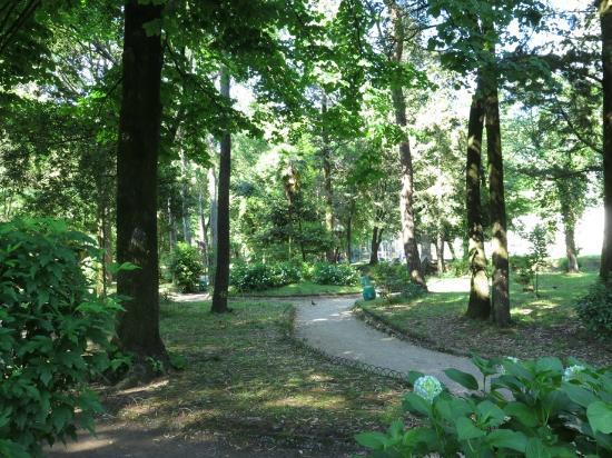 Big City Park