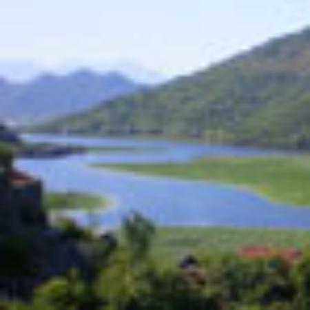 ShunDe Lao